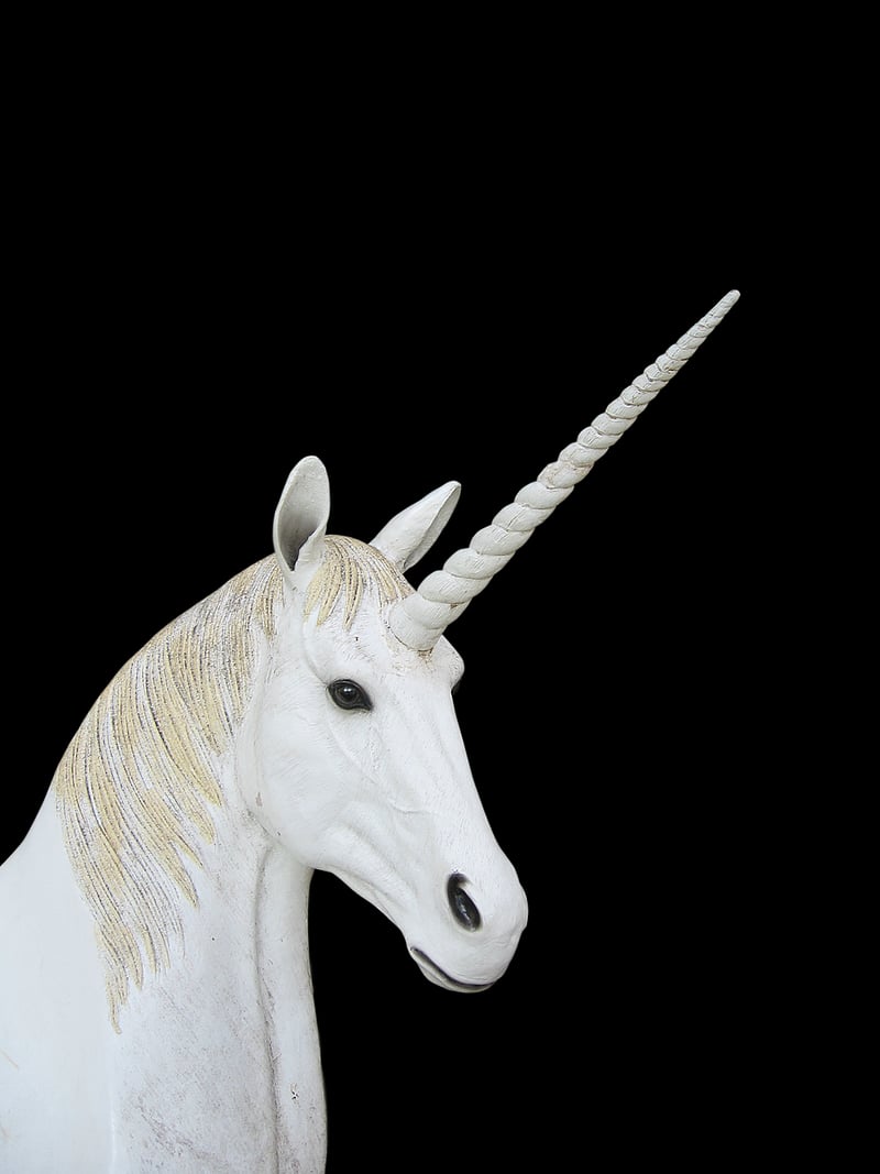 Unicorn Watering Can